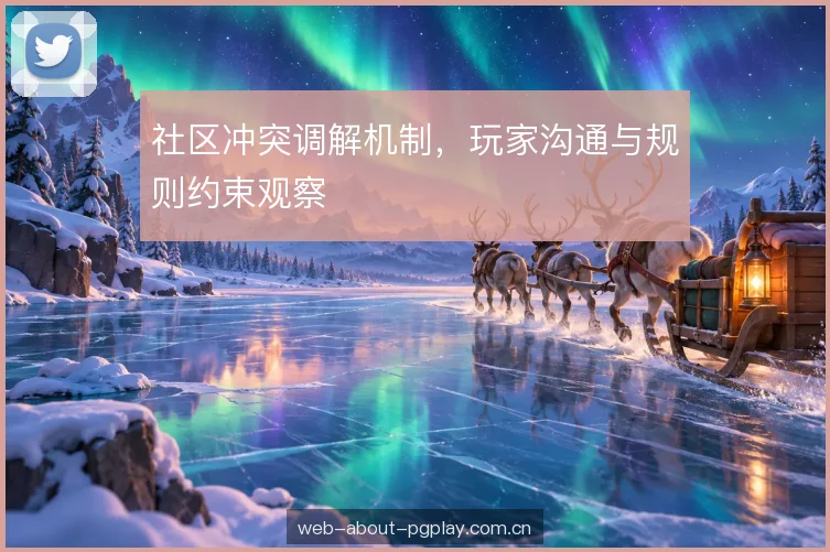 社区冲突调解机制，玩家沟通与规则约束观察